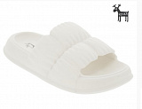 ������ �/� white
