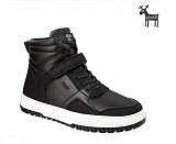 ������ ������� �/� ���.�./������ 30% black