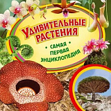 ������������ ��������.����� ������ ������������ 