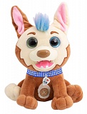 RoboPets ������ ���� ����.,�����..20 �� 