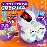 RoboLife ������ �� ������.,�����-�������,����,���� 