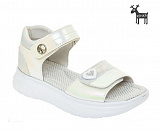 ��������� �/� ���.�./���.�. white
