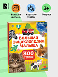 ������� ������������ ������.300 �������� � ������� 